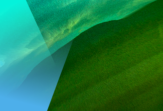 Health Economics and Outcomes Research (HEOR)