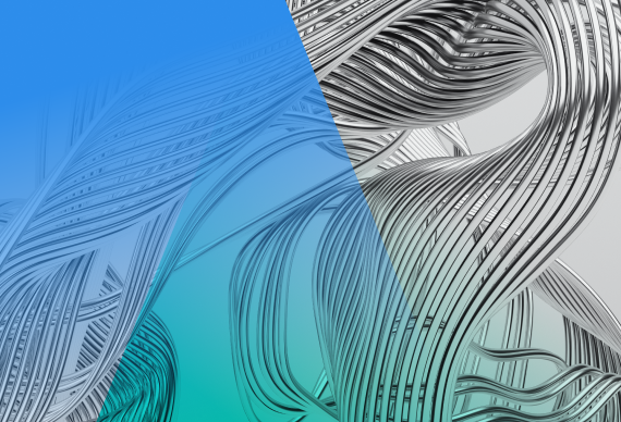 Market Access and Commercialization