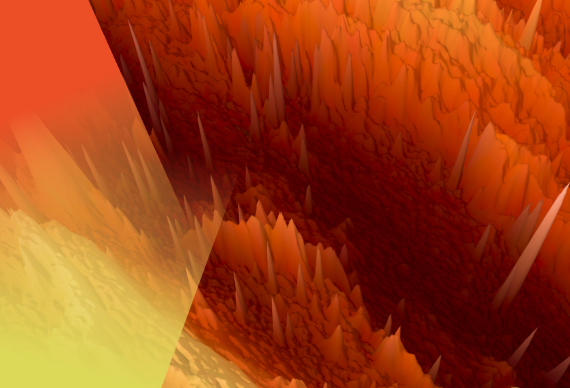 Quantifying the Total Burden of a Rare Disease for Patients and Caregivers