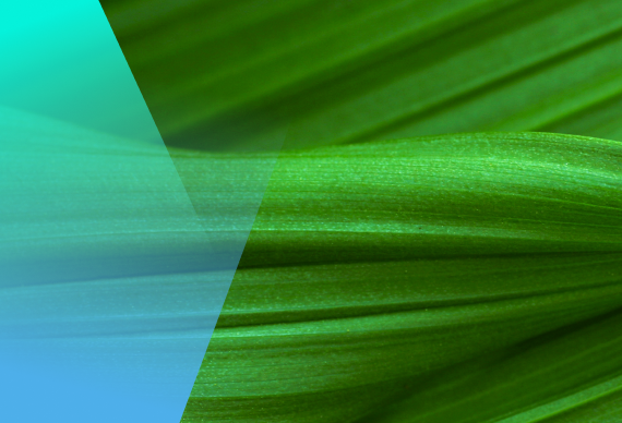 Health Economics and Outcomes Research (HEOR)